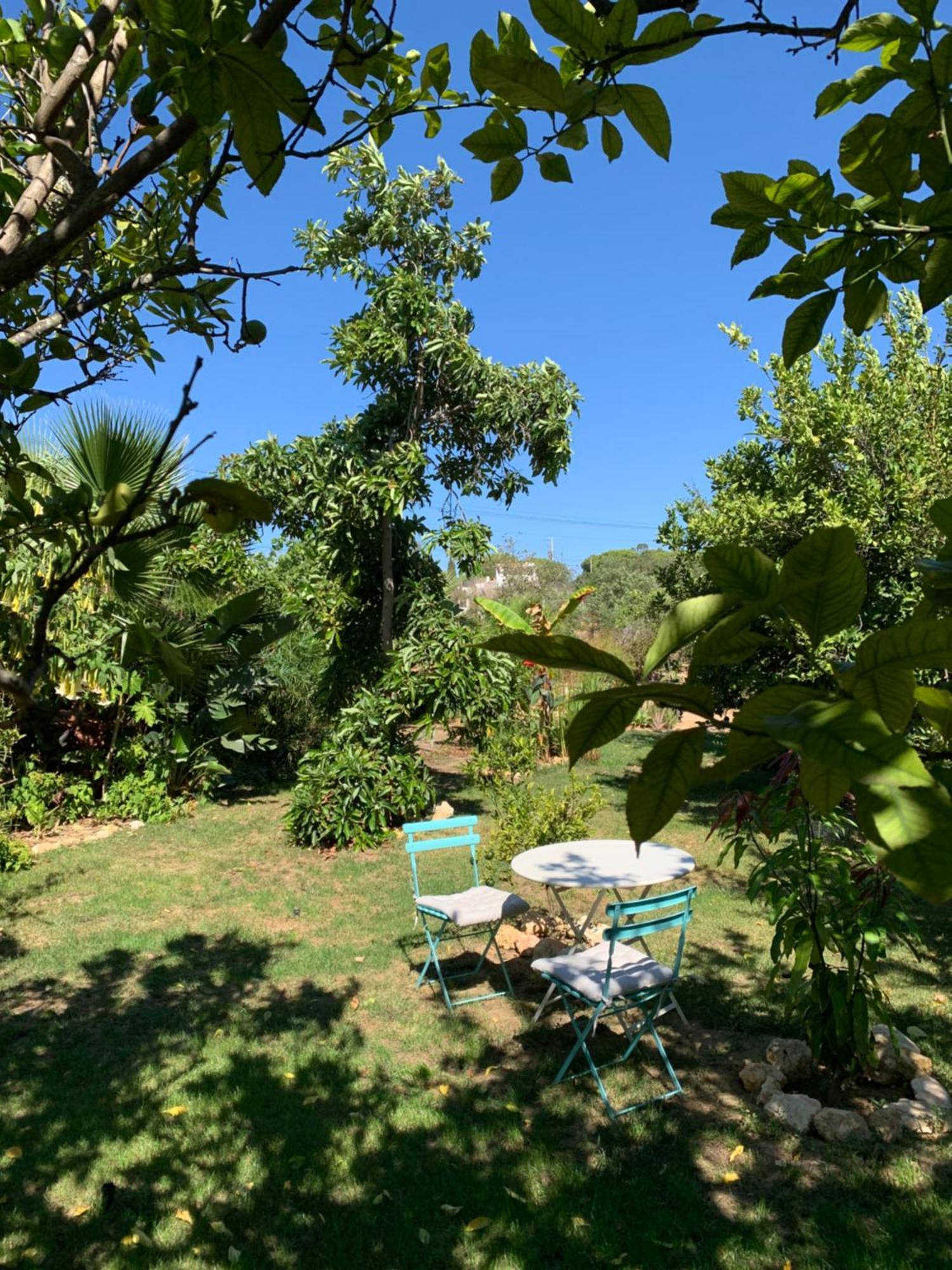 A Tranquil Garden Apartment, Carvoeiro - Benagil المظهر الخارجي الصورة