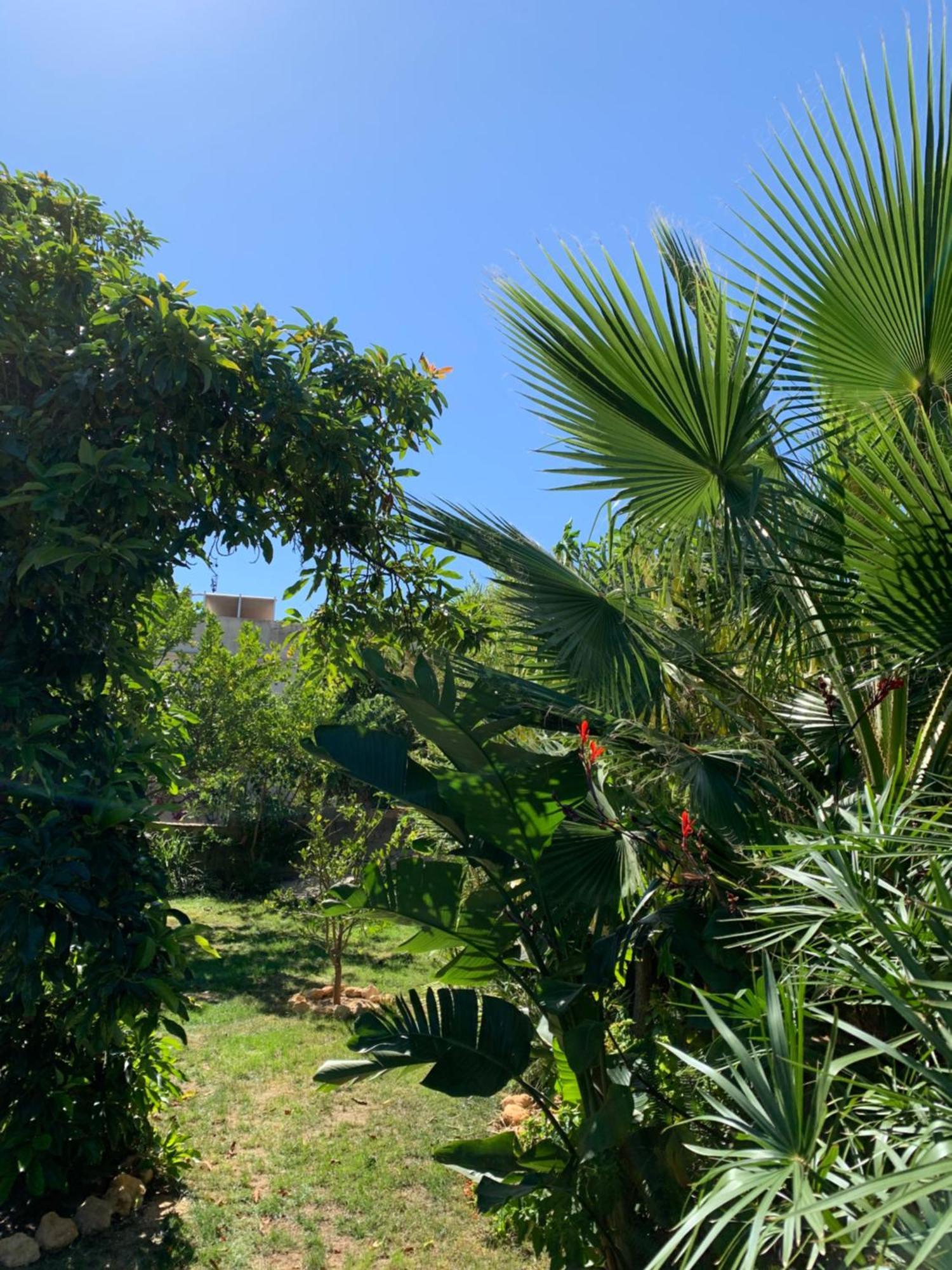 A Tranquil Garden Apartment, Carvoeiro - Benagil المظهر الخارجي الصورة